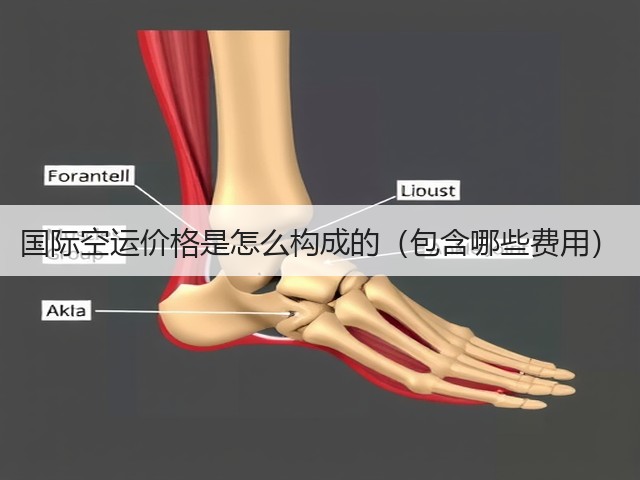 国际空运价格是怎么构成的(包含哪些费用)(图1) 国际空运价格是怎么构成的(包含哪些费用)(图1)