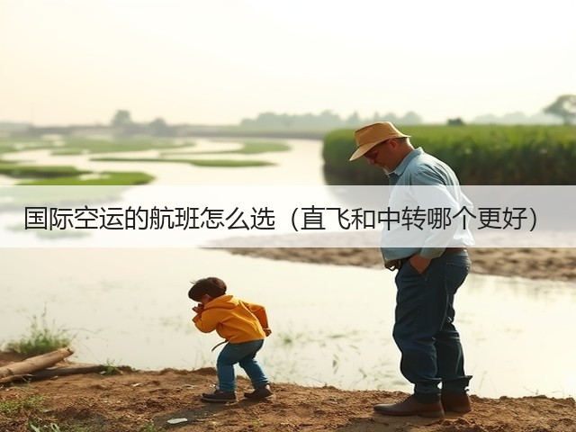 国际空运的航班怎么选(直飞和中转哪个更好)(图1) 国际空运的航班怎么选(直飞和中转哪个更好)(图1)