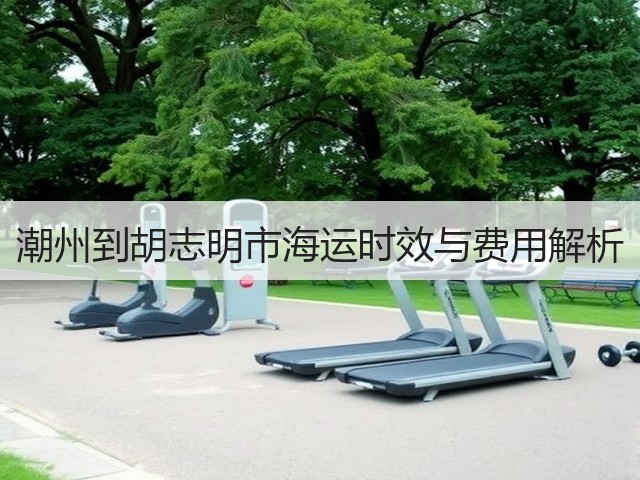 潮州到胡志明市海运时效与费用解析(图1) 潮州到胡志明市海运时效与费用解析(图1)