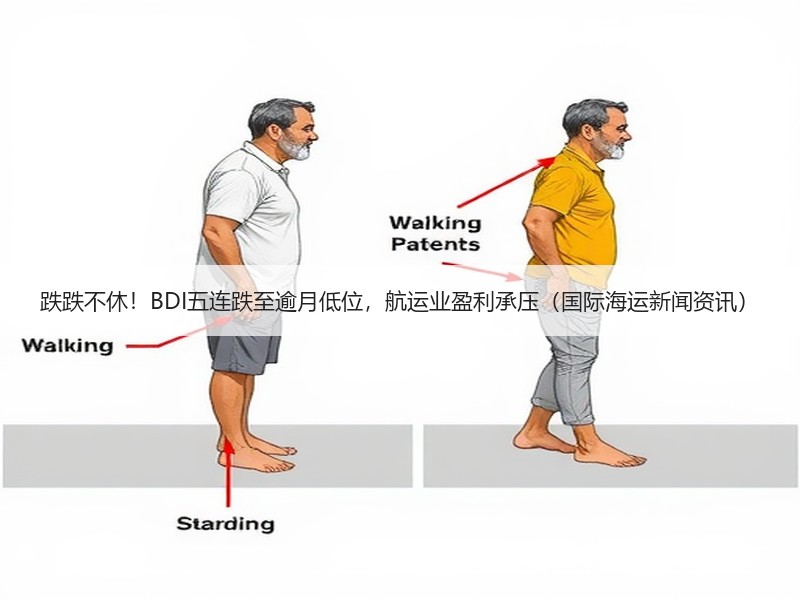 跌跌不休!BDI五连跌至逾月低位,航运业盈利承压(国际海运新闻资讯) 跌跌不休!BDI五连跌至逾月低位,航运业盈利承压(国际海运新闻资讯)