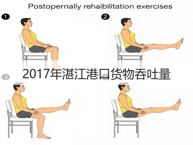 2017年湛江港口货物吞吐量(图3) 2017年湛江港口货物吞吐量(图3)
