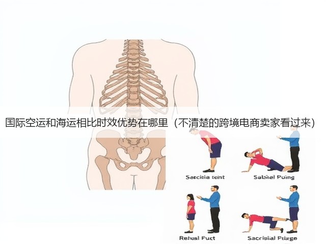国际空运和海运相比时效优势在哪里(不清楚的跨境电商卖家看过来)(图1) 国际空运和海运相比时效优势在哪里(不清楚的跨境电商卖家看过来)(图1)