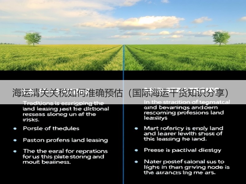 海运清关关税如何准确预估（国际海运干货知识分享）