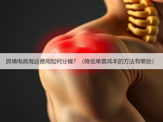 跨境电商海运费用如何分摊?(降低单票成本的方法有哪些)(图3) 跨境电商海运费用如何分摊?(降低单票成本的方法有哪些)(图3)
