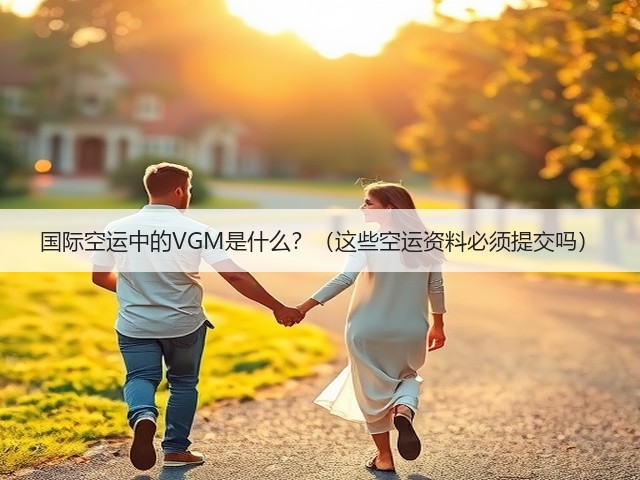 国际空运中的VGM是什么?(这些空运资料必须提交吗)(图3) 国际空运中的VGM是什么?(这些空运资料必须提交吗)(图3)