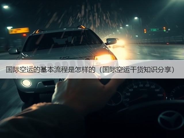 国际空运的基本流程是怎样的（国际空运干货知识分享）(图3)