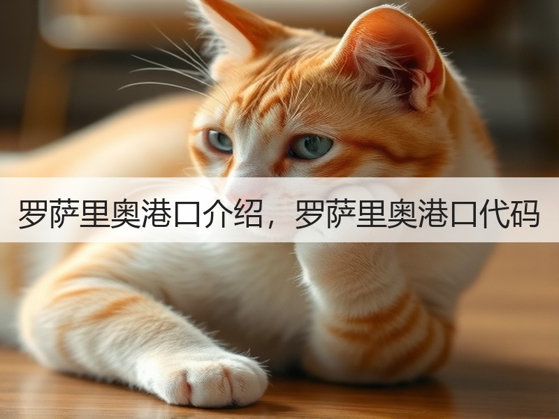 罗萨里奥港口介绍,罗萨里奥港口代码 罗萨里奥港口介绍,罗萨里奥港口代码