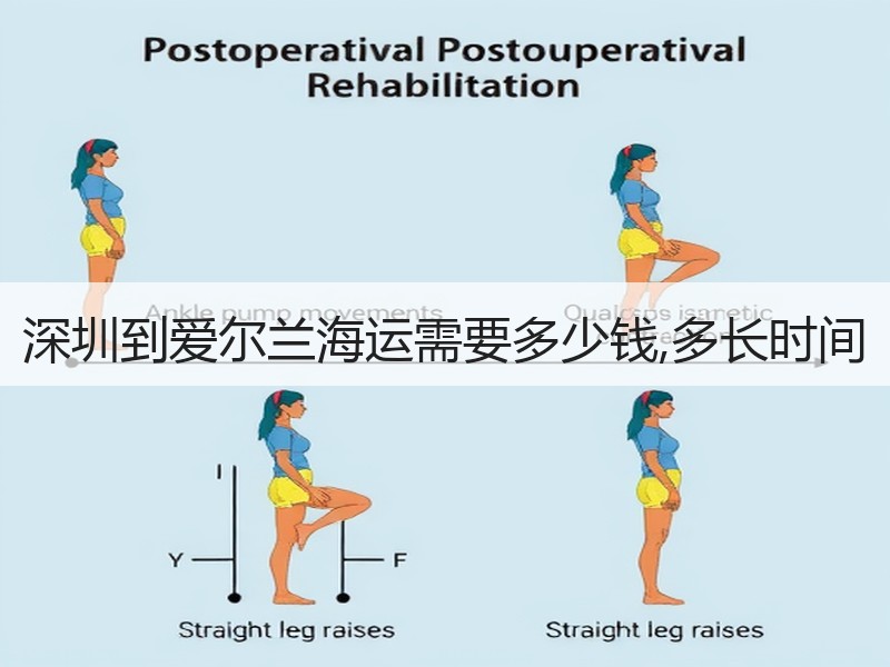 深圳到爱尔兰海运需要多少钱,多长时间