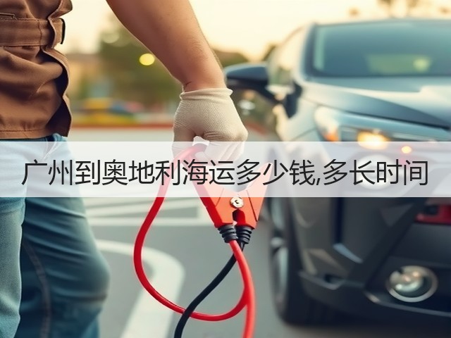 广州到奥地利海运多少钱,多长时间(图3)