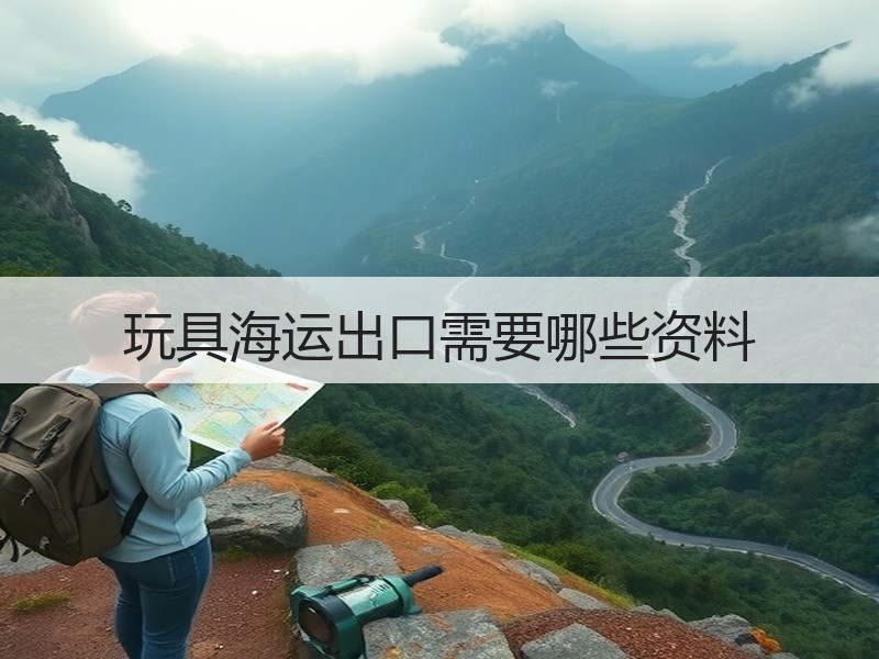 玩具海运出口需要哪些资料 玩具海运出口需要哪些资料