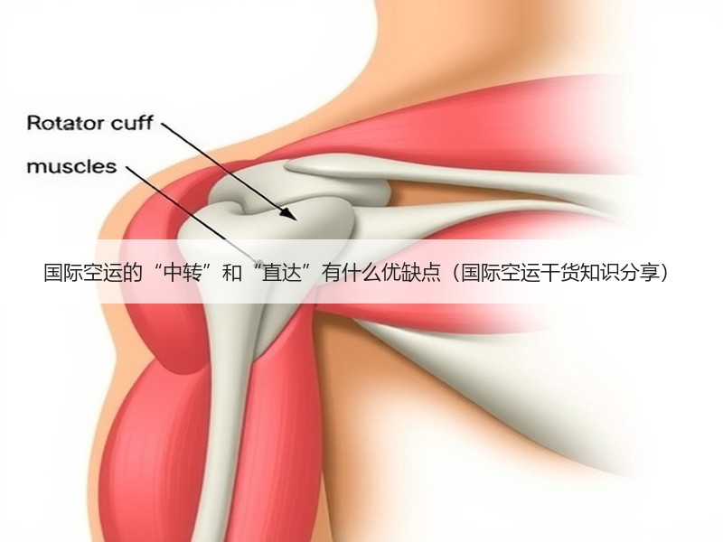 国际空运的“中转”和“直达”有什么优缺点（国际空运干货知识分享）