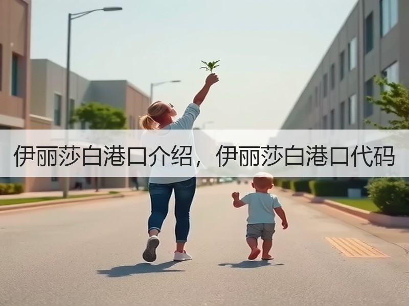 伊丽莎白港口介绍,伊丽莎白港口代码 伊丽莎白港口介绍,伊丽莎白港口代码