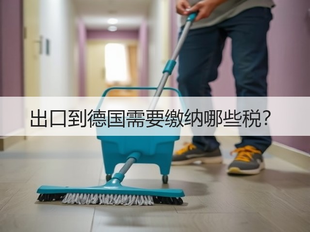 出口到德国需要缴纳哪些税？(图2)