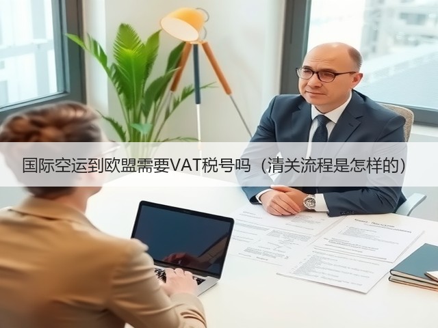国际空运到欧盟需要VAT税号吗(清关流程是怎样的)(图2) 国际空运到欧盟需要VAT税号吗(清关流程是怎样的)(图2)