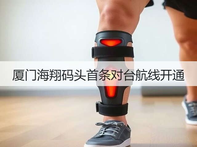 厦门海翔码头首条对台航线开通(图3)