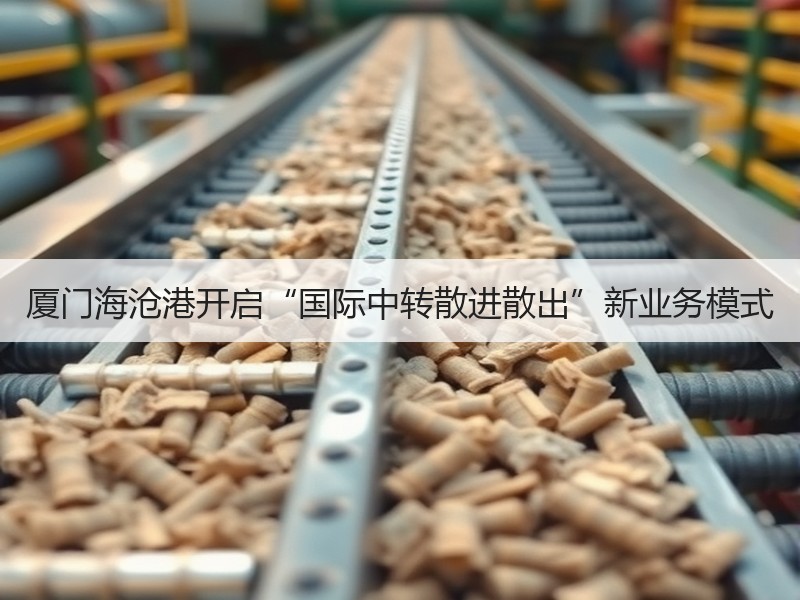 厦门海沧港开启“国际中转散进散出”新业务模式