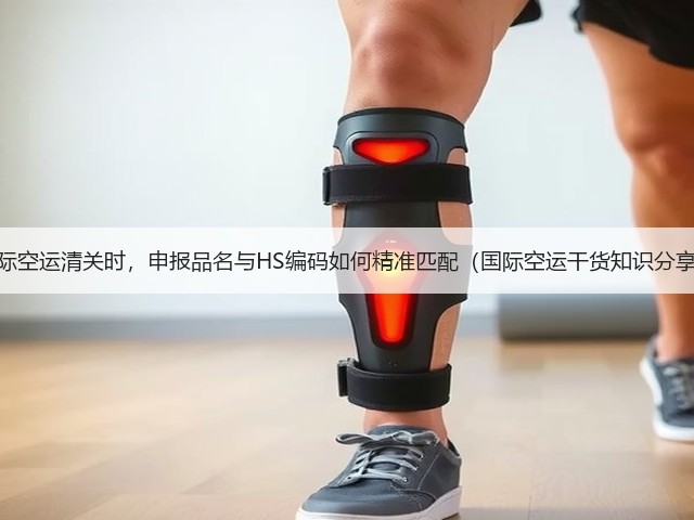 国际空运清关时,申报品名与HS编码如何精准匹配(国际空运干货知识分享)(图2) 国际空运清关时,申报品名与HS编码如何精准匹配(国际空运干货知识分享)(图2)