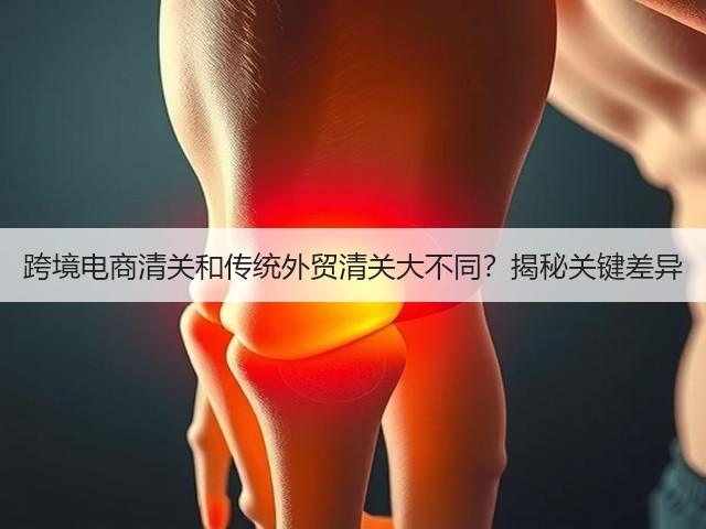 跨境电商清关和传统外贸清关大不同?揭秘关键差异(图2) 跨境电商清关和传统外贸清关大不同?揭秘关键差异(图2)