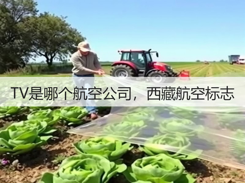 TV是哪个航空公司,西藏航空标志 TV是哪个航空公司,西藏航空标志