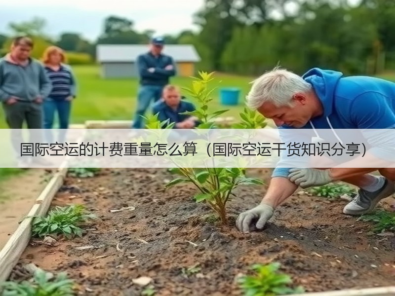 国际空运的计费重量怎么算（国际空运干货知识分享）