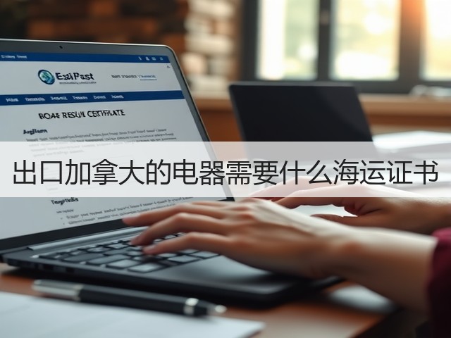 出口加拿大的电器需要什么海运证书(图2) 出口加拿大的电器需要什么海运证书(图2)