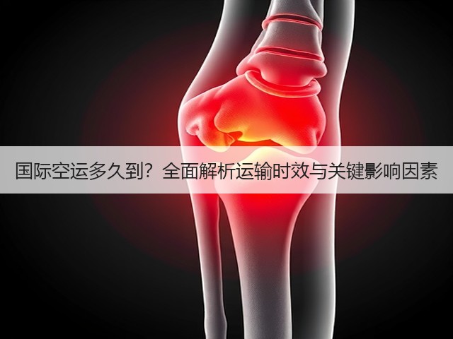 国际空运多久到?全面解析运输时效与关键影响因素(图2) 国际空运多久到?全面解析运输时效与关键影响因素(图2)