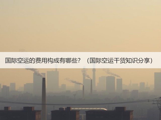 国际空运的费用构成有哪些?(国际空运干货知识分享)(图1) 国际空运的费用构成有哪些?(国际空运干货知识分享)(图1)