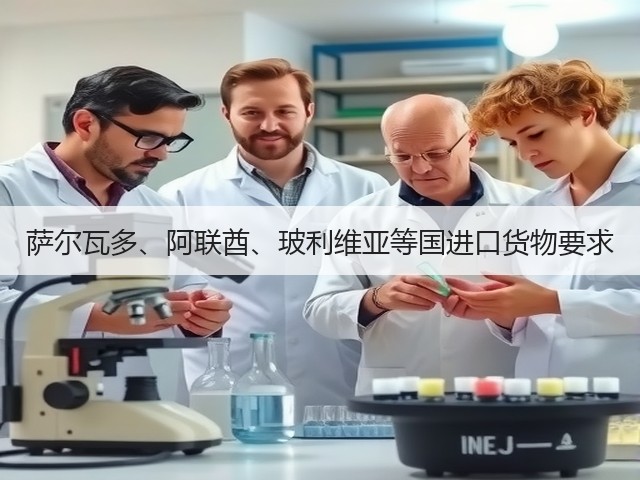 萨尔瓦多、阿联酋、玻利维亚等国进口货物要求(图1) 萨尔瓦多、阿联酋、玻利维亚等国进口货物要求(图1)