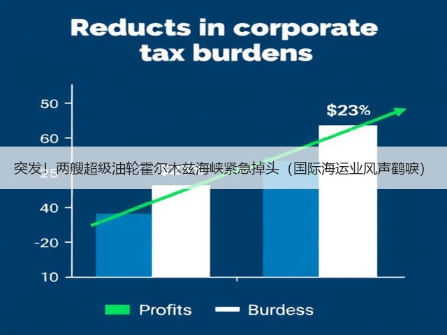 突发!两艘超级油轮霍尔木兹海峡紧急掉头(国际海运业风声鹤唳)(图3) 突发!两艘超级油轮霍尔木兹海峡紧急掉头(国际海运业风声鹤唳)(图3)