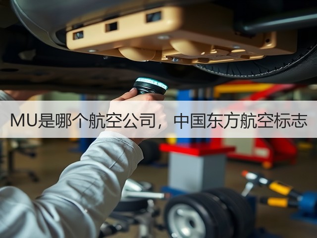 MU是哪个航空公司，中国东方航空标志(图1)