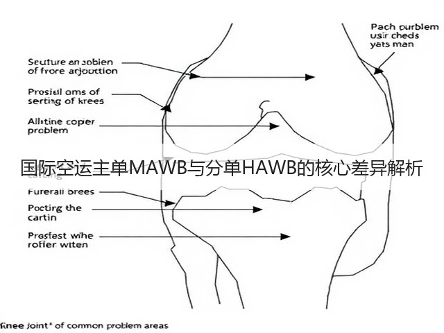 国际空运主单MAWB与分单HAWB的核心差异解析(图3) 国际空运主单MAWB与分单HAWB的核心差异解析(图3)
