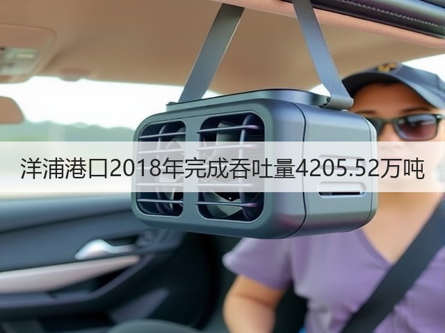 洋浦港口2018年完成吞吐量4205.52万吨(图3) 洋浦港口2018年完成吞吐量4205.52万吨(图3)