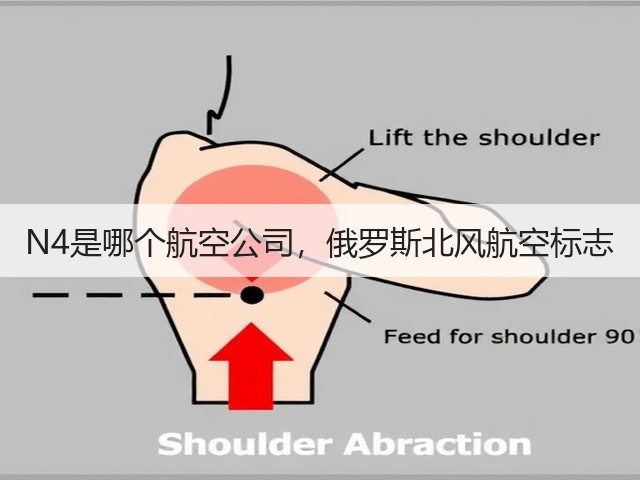 N4是哪个航空公司，俄罗斯北风航空标志(图1)