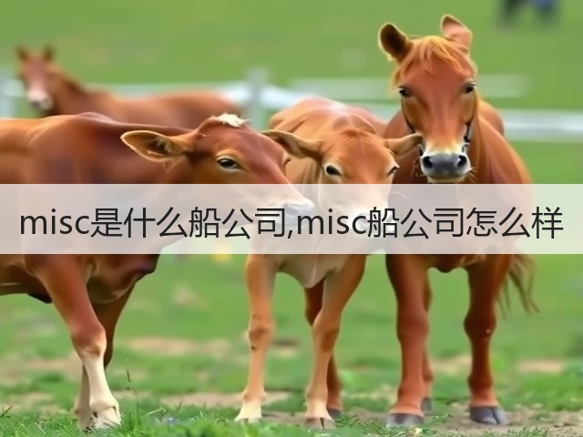 misc是什么船公司,misc船公司怎么样(图3) misc是什么船公司,misc船公司怎么样(图3)