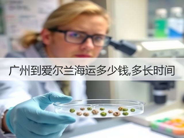 广州到爱尔兰海运多少钱,多长时间(图2) 广州到爱尔兰海运多少钱,多长时间(图2)