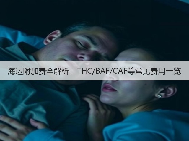 海运附加费全解析：THC/BAF/CAF等常见费用一览(图3)