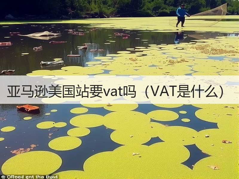亚马逊美国站要vat吗（VAT是什么）