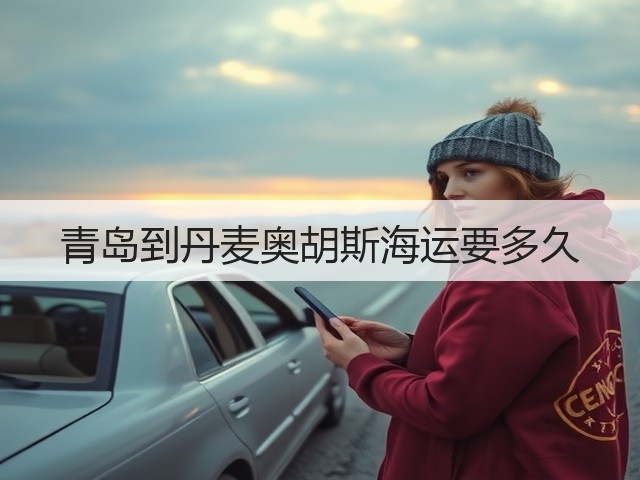 青岛到丹麦奥胡斯海运要多久(图3)