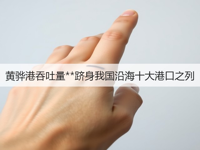 黄骅港吞吐量**跻身我国沿海十大港口之列(图3) 黄骅港吞吐量**跻身我国沿海十大港口之列(图3)