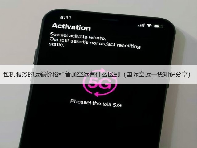 包机服务的运输价格和普通空运有什么区别(国际空运干货知识分享)(图2) 包机服务的运输价格和普通空运有什么区别(国际空运干货知识分享)(图2)