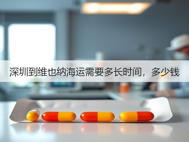 深圳到维也纳海运需要多长时间，多少钱(图3)
