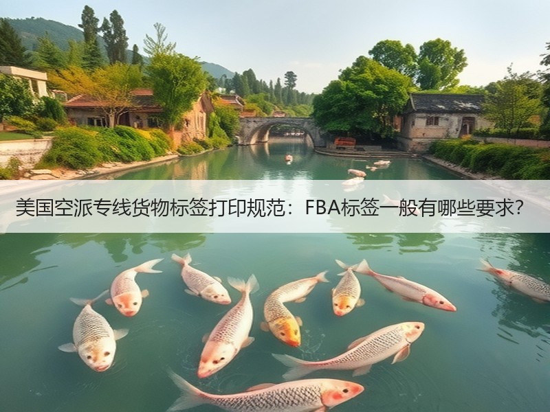 美国空派专线货物标签打印规范：FBA标签一般有哪些要求？
