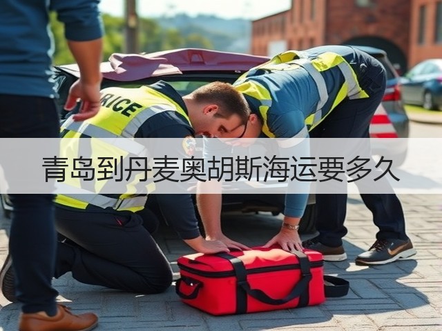 青岛到丹麦奥胡斯海运要多久(图1)