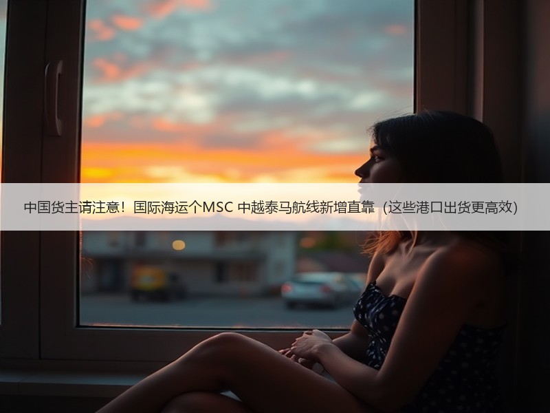 中国货主请注意!国际海运个MSC 中越泰马航线新增直靠(这些港口出货更高效) 中国货主请注意!国际海运个MSC 中越泰马航线新增直靠(这些港口出货更高效)