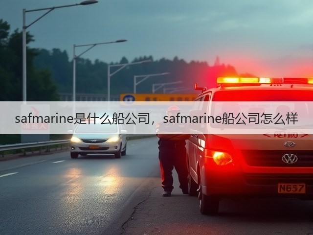safmarine是什么船公司，safmarine船公司怎么样(图3)