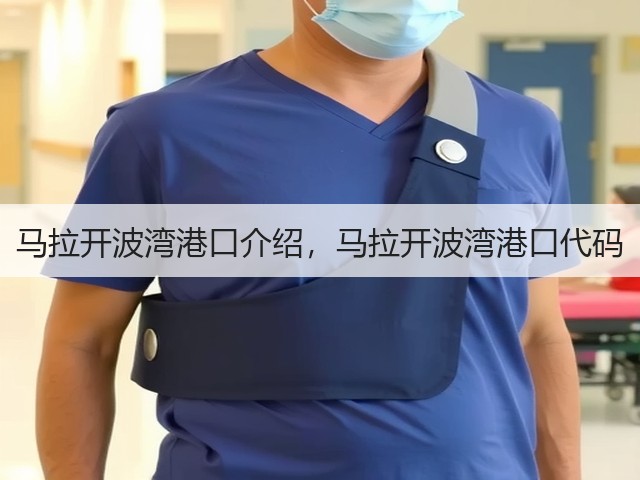 马拉开波湾港口介绍,马拉开波湾港口代码(图2) 马拉开波湾港口介绍,马拉开波湾港口代码(图2)