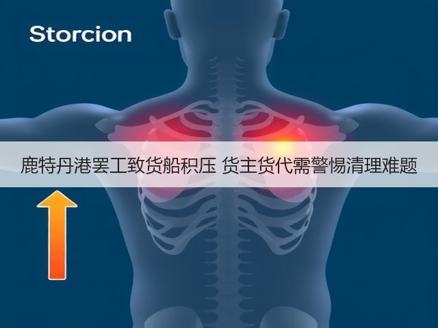 鹿特丹港罢工致货船积压 货主货代需警惕清理难题(图1) 鹿特丹港罢工致货船积压 货主货代需警惕清理难题(图1)