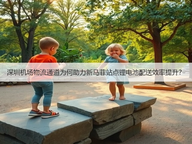 深圳机场物流通道为何助力新马菲站点锂电池配送效率提升?(图3) 深圳机场物流通道为何助力新马菲站点锂电池配送效率提升?(图3)