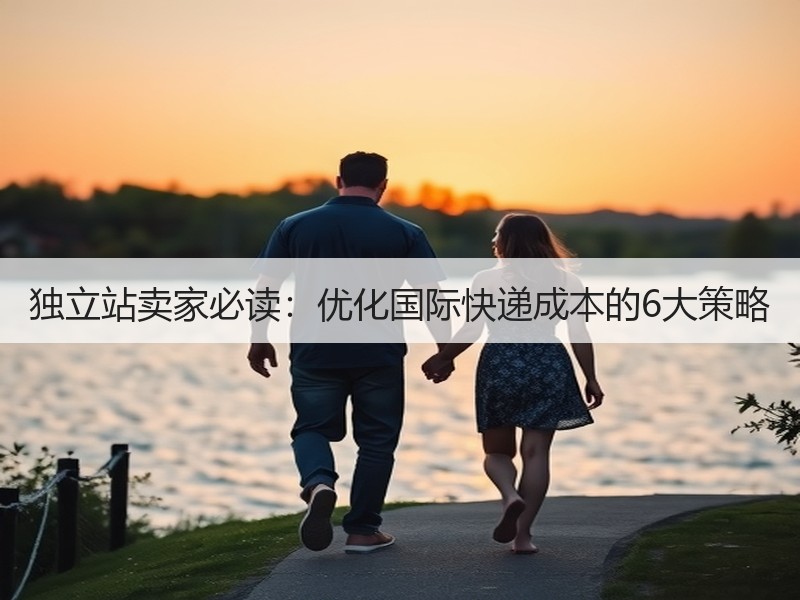 独立站卖家必读：优化国际快递成本的6大策略