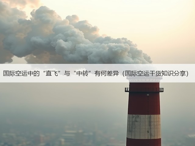 国际空运中的“直飞”与“中转”有何差异(国际空运干货知识分享)(图2) 国际空运中的“直飞”与“中转”有何差异(国际空运干货知识分享)(图2)